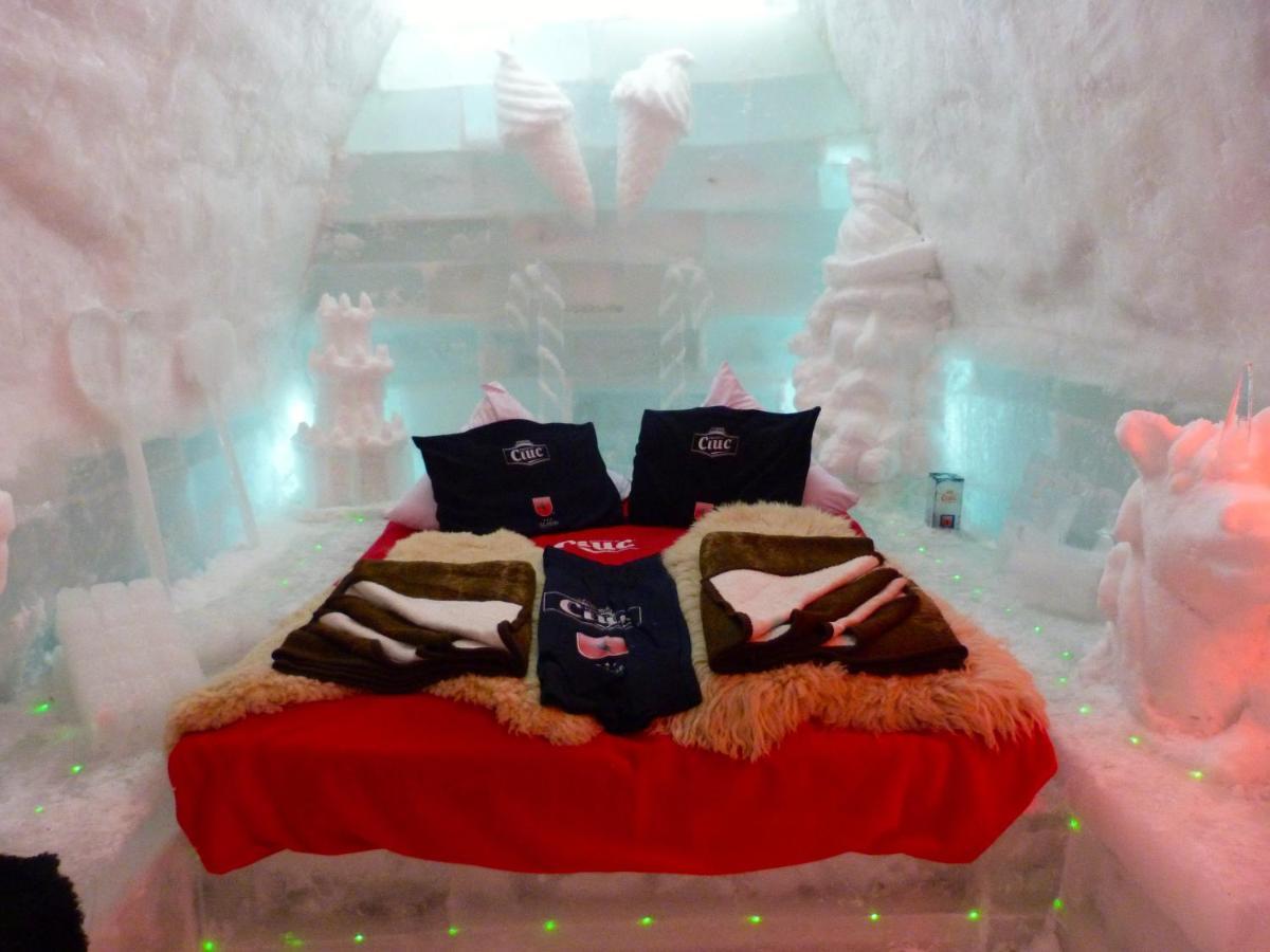 Hotel Of Ice Transylvania Cîrţişoara Extérieur photo